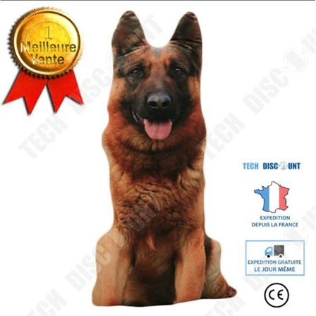 TD Funny 3D Dog Print Kudde Kreativ Söt Plysch Doll Present Hem Fordons Kudde Färg: brun hund