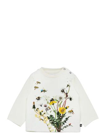 Enovan White Molo