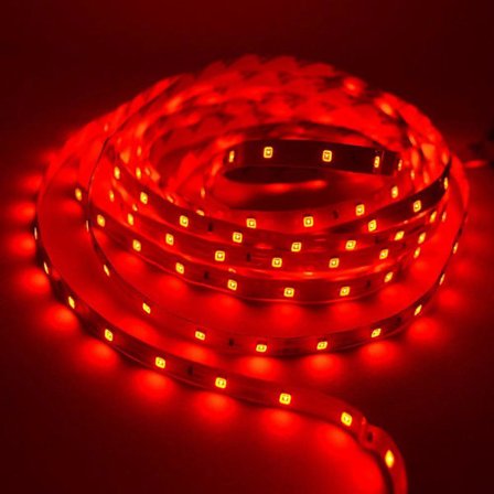 5M LED Strip Ljus Ej Vattentät DC 12V Vit Varmvit Blå Röd Grön Ribbon Tape Starkare 2835 Strip Hem Dekorativt Ljus (FMY)