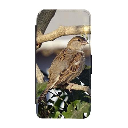 Fågel Gråsparv Iphone 14 Pro Plånboksfodral Multifärg