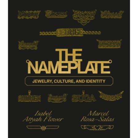 The Nameplate (inbunden, eng)