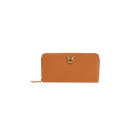Pinko Wallets & Cardholders Brun, Dame Punge og Kortholder, Størrelse: ONE Size