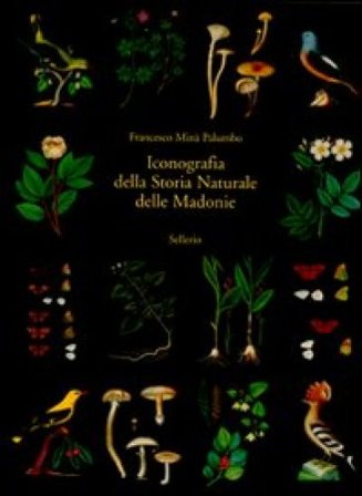 Iconografia della storia naturale delle Madonie. Ediz. illustrata Francesco Minà Palumbo
