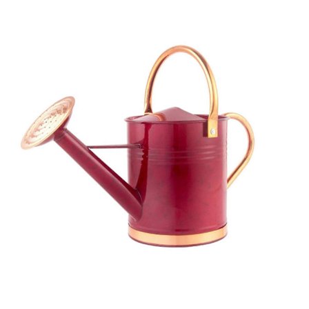 5l Rauta Kastelukannu Kukka Suihkepullo Paine Laite Pieni Ilmanpaine Sprinkleripullo Alkoholi Desinfiointiaine SDU