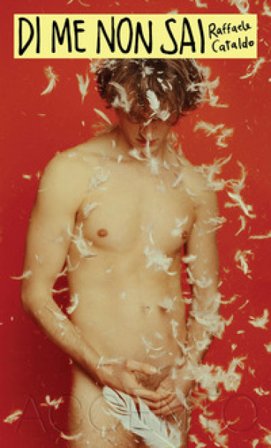 Di me non sai Raffaele Cataldo