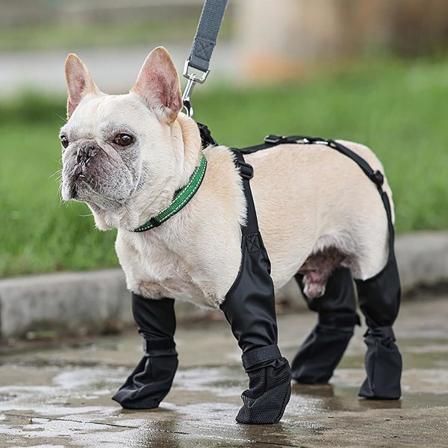 Hängselstövlar för Hundar, Justerbara Hundbyxor, Hundtasskydd för Hundar (FMY) S