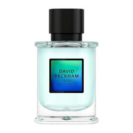 David Beckham True Instinct Eau de Parfum for Men 50 ml, Parfumer & Dufte, Dufte, Eau De Parfum