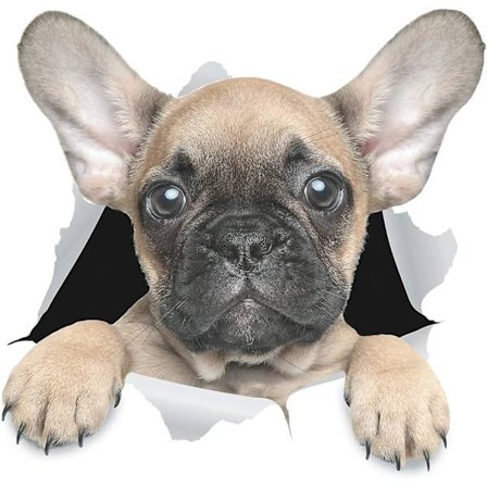 3D Hundedekaler - 2-pack - Söt Fransk Bulldog Dekal för Vägg, Kylskåp, Toalett och Mer