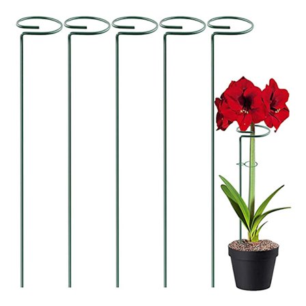 Blomsterstøttering til indendørs og udendørs brug, enkeltstående plantepind til Amaryllis tomater og roser, holdbar og genanvendelig planteholder med 