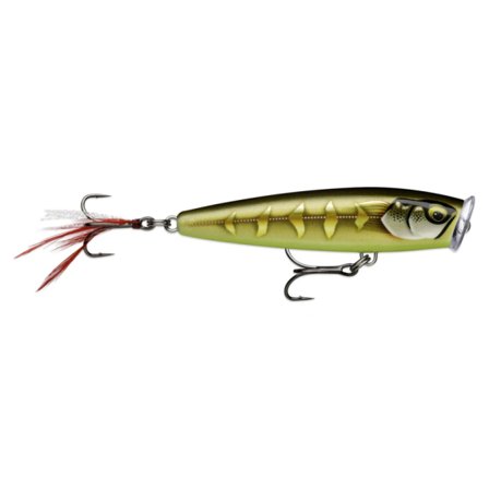 Rapala Skitter Pop Elite 7,5cm, 10g - Gilded Striped Grey Shiner