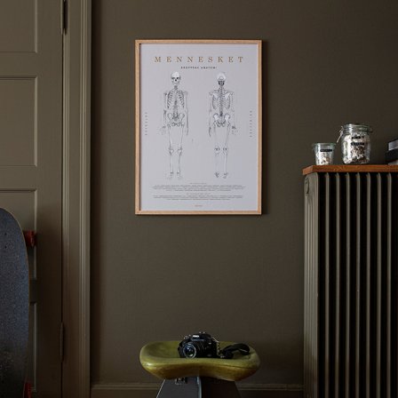 Plakat med Menneskets anatomi i 50x70 fra Gehalt — Lærerig plakat