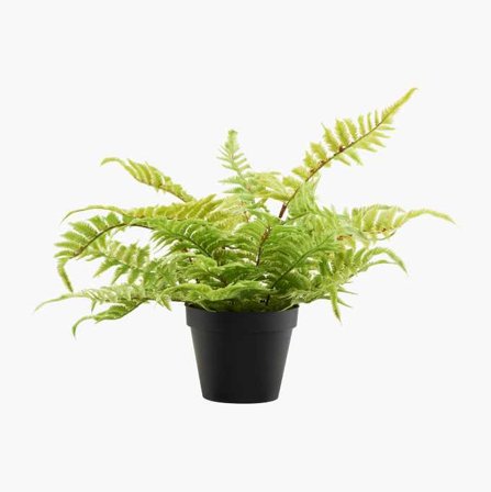 Konstgjord växt ormbunke