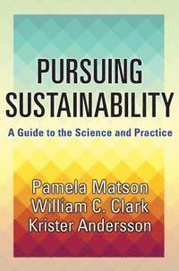 Pursuing Sustainability, ISBN: 9780691157610
