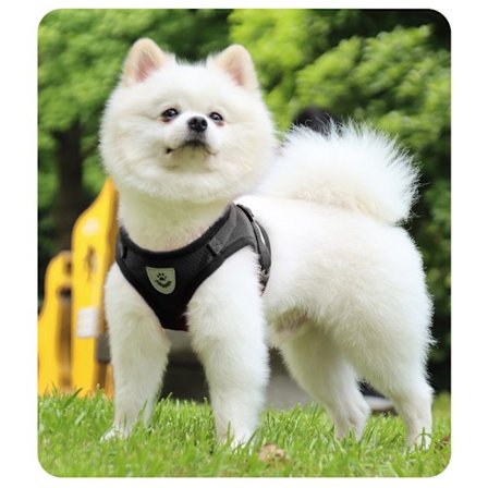 Reflekterande hundsele - Andas svart