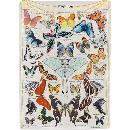 Fjärilstapet, 150 x 130 cm, Färgstark tapet med fjäril Papillon, beige