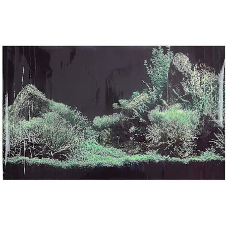 Korall Akvarium Bakgrund Poster Fisktank Dekoration 61x41cm