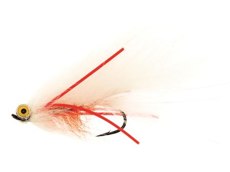 Zonky White/Red TMC7989 #6
