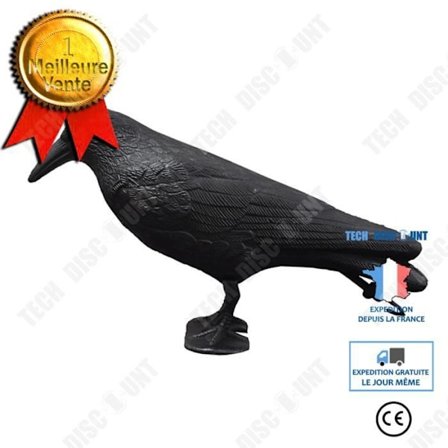 Dekorativa ornament - TD - Falska fåglar Halloween - Svart - Plast - Harpasta