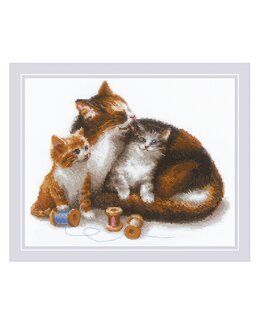 Bild Katzen mit Garn