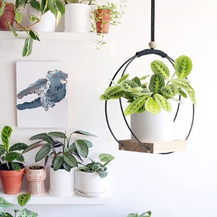 Hengende Blomsterpotteholder med God Bæreevne Smo Black