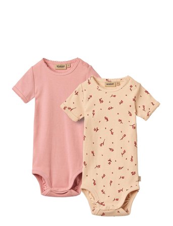 Wheat | 2 Body S/S Elisa | 62