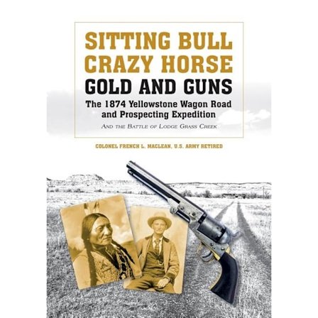 Sitting bull, crazy horse, gold and guns 9780764351518