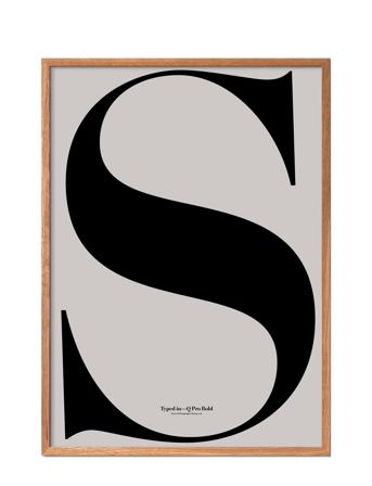 Ilwt-S Grey Poster & Frame