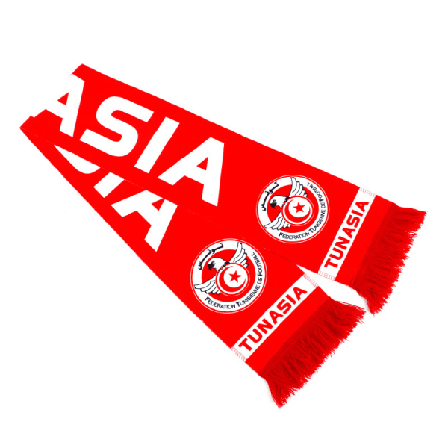2022 Qatar World Cup National Team Fans' Cheering Scarf