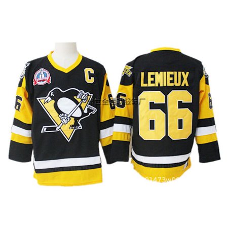 Broderad hockeytröja – Sporttröja för träning i vintagestil *L/50* Penguins 66-1