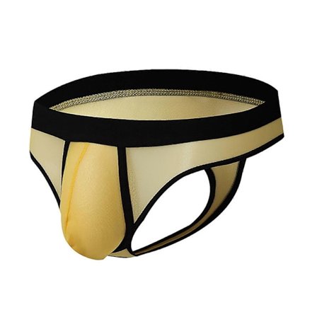 Jääsilkki Verkkokangas Läpinäkyvät Miesten Stringit Alusvaatteet Miesten Stringit Alusvaatteet Miesten Alusvaatteet-WELLNGS