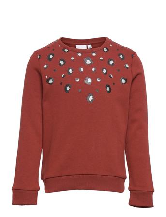 Nkfreta Ls Sweat Bru Sweat-shirt Tröja Röd Name It