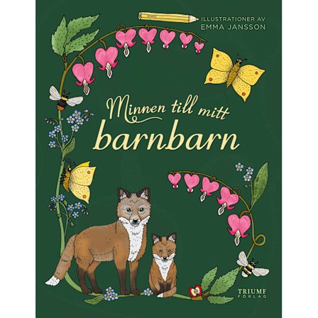 Minder til mit barnebarn – Babynord