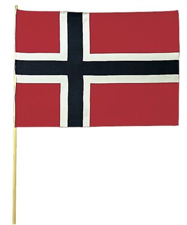 HÅNDFLAGG NORSK 20X28X55CM