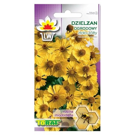 Siemenet auringonkukille Sneezeweed - Pitkäkukkainen ja mehiläisystävällinen monivuotinen kasvi