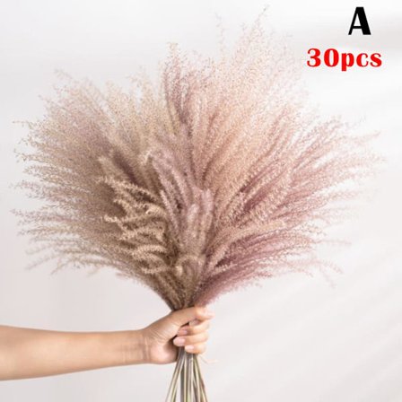 Tørket Blomsterbukett Naturlig Tørket Blomsterbukett Rør Flores Pampas Hveteaks Setaria For Hjemmet