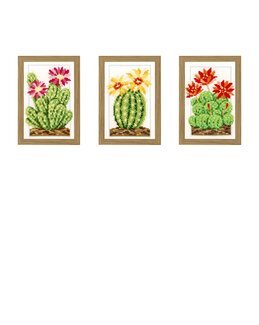 Bilder Kakteen 3-er Pack - Vervaco