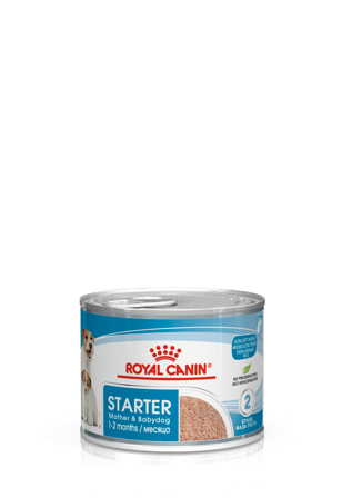 Royal Canin - Wet Starter Mousse Våtfôr for hunder 195 g - Hund - Hundefôr & hundemat - Våtfôr & våtmat - ZOO.no