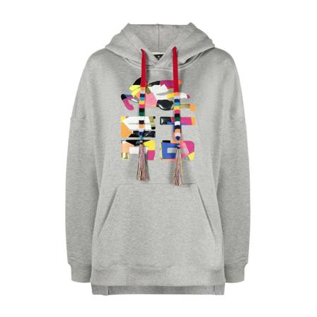 Etro, Hoodies Szary, Kobieta, Rozmiar: M