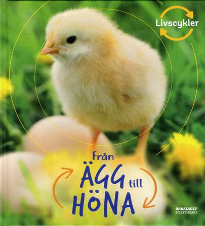 Från ägg till höna - Bok av Camilla De la Bédoyère - Inbunden