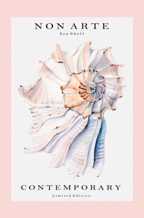 Pelcasa - Juliste Non Arte Sea Shell no.2 - Roosa - Julisteet - - Homeroom