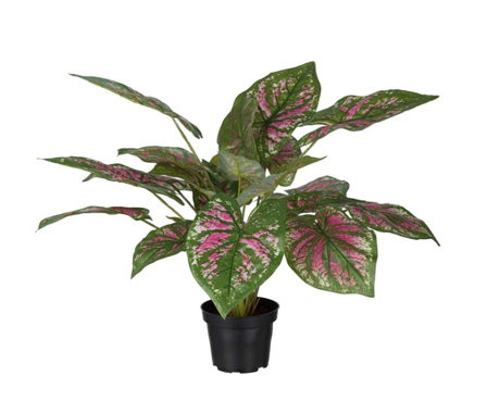 Mr Plant Kunstig Plante Caladium H40