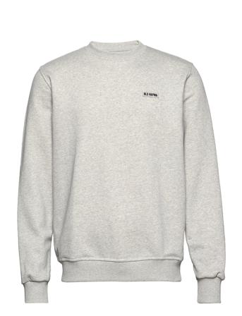 Essential Logo Crewneck 2 Designers Sweatshirts & Hoodies Sweatshirts Grey BLS Hafnia