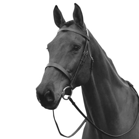 Kincade Hunt Läder Cavesson Träns Ii Cob Black