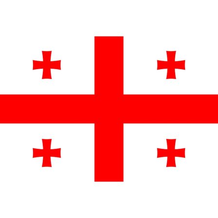 Georgiens flagga 100