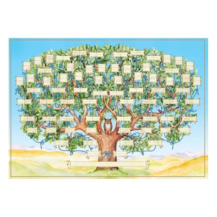 Slektskart Diagram Handtegnet Til Personlig Slektshistorie Lerret (FMY)