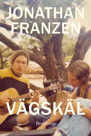 Vägskäl - Bok av Jonathan Franzen - Inbunden