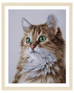 Broderipakke Bilde Grønne øyne - Lanarte