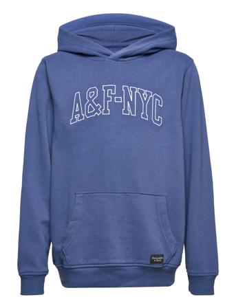 Kids Boys Sweatshirts Huppari Sininen Abercrombie & Fitch