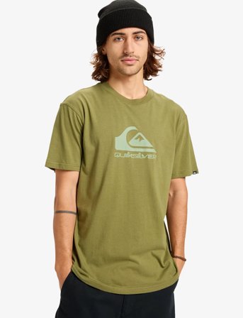Quiksilver Ev Comp Logo Ss - Green - M