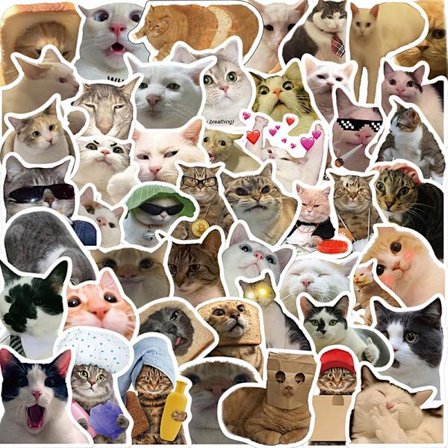 50 stk Cat MEME Animals Stickers Legetøjsgraffiti Decals til børn nr
